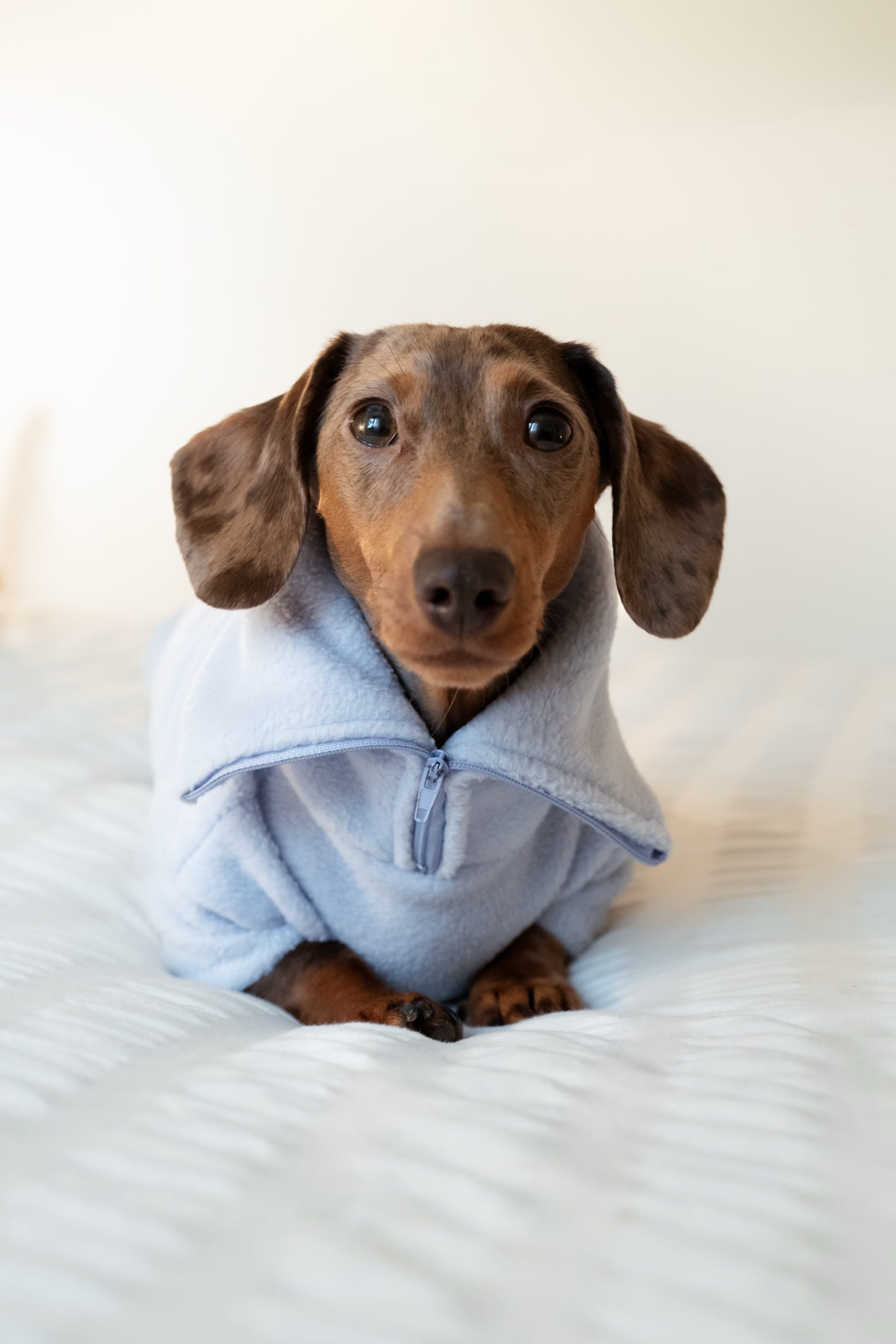 Bluebell Quarter Zip Fleece Jumper