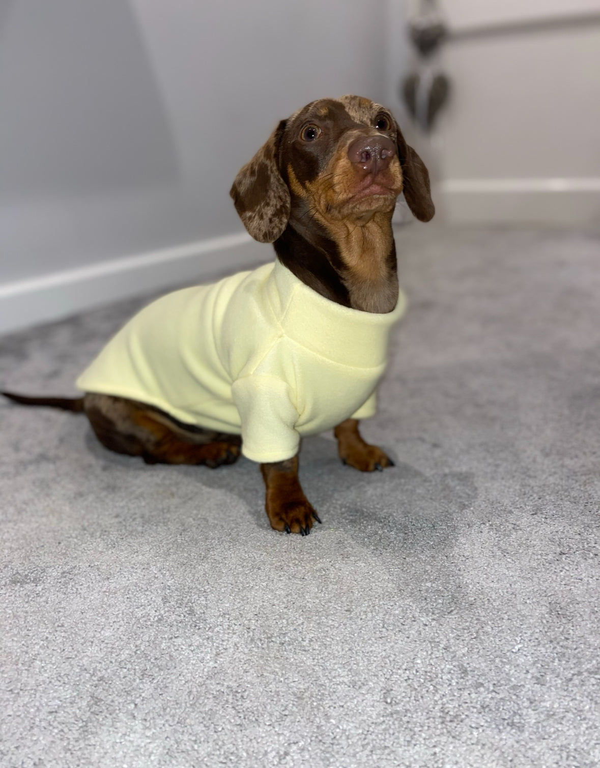 Lemon Fleece Jumper