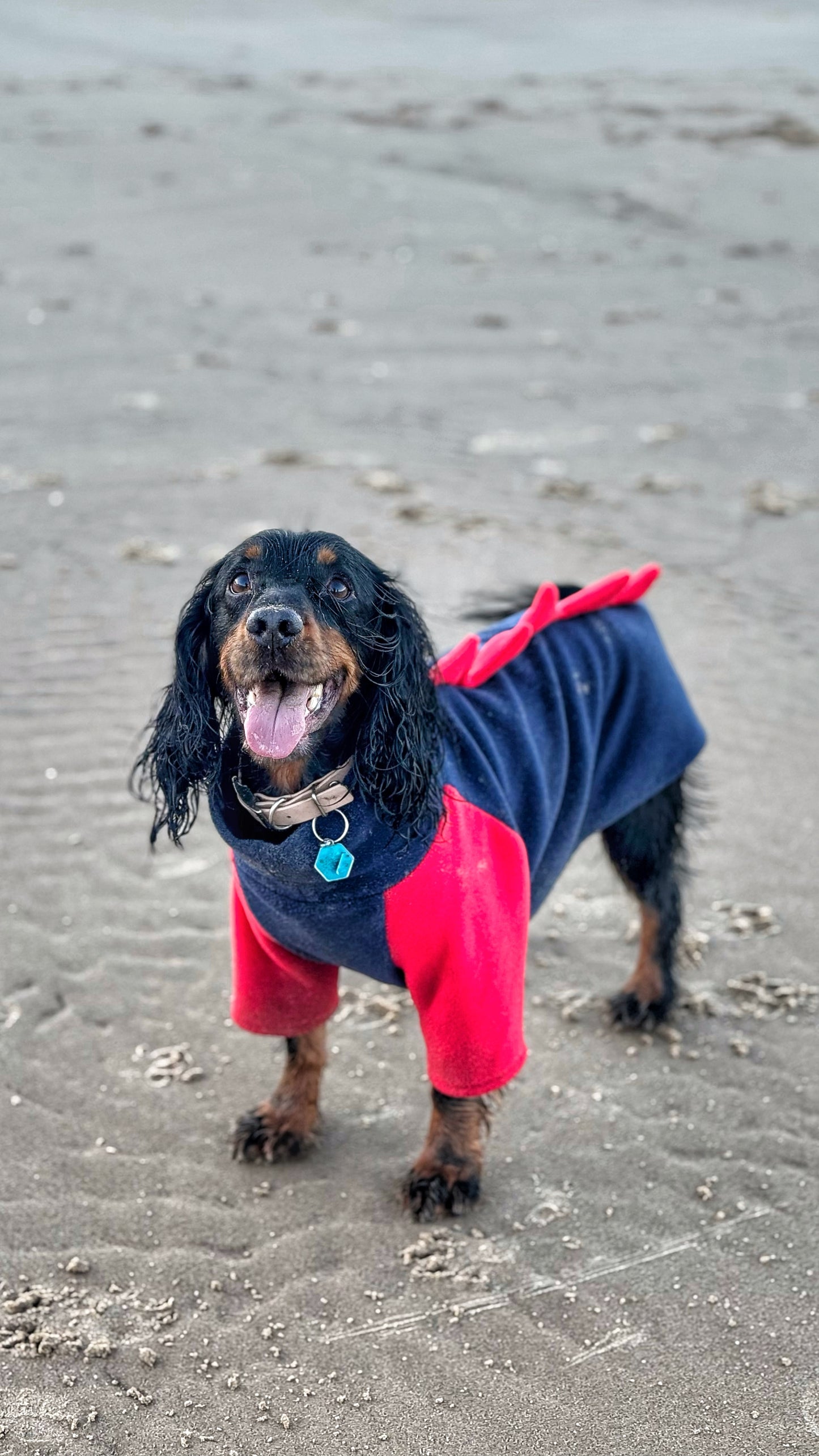 Jurassic Bark Fleece Jumper
