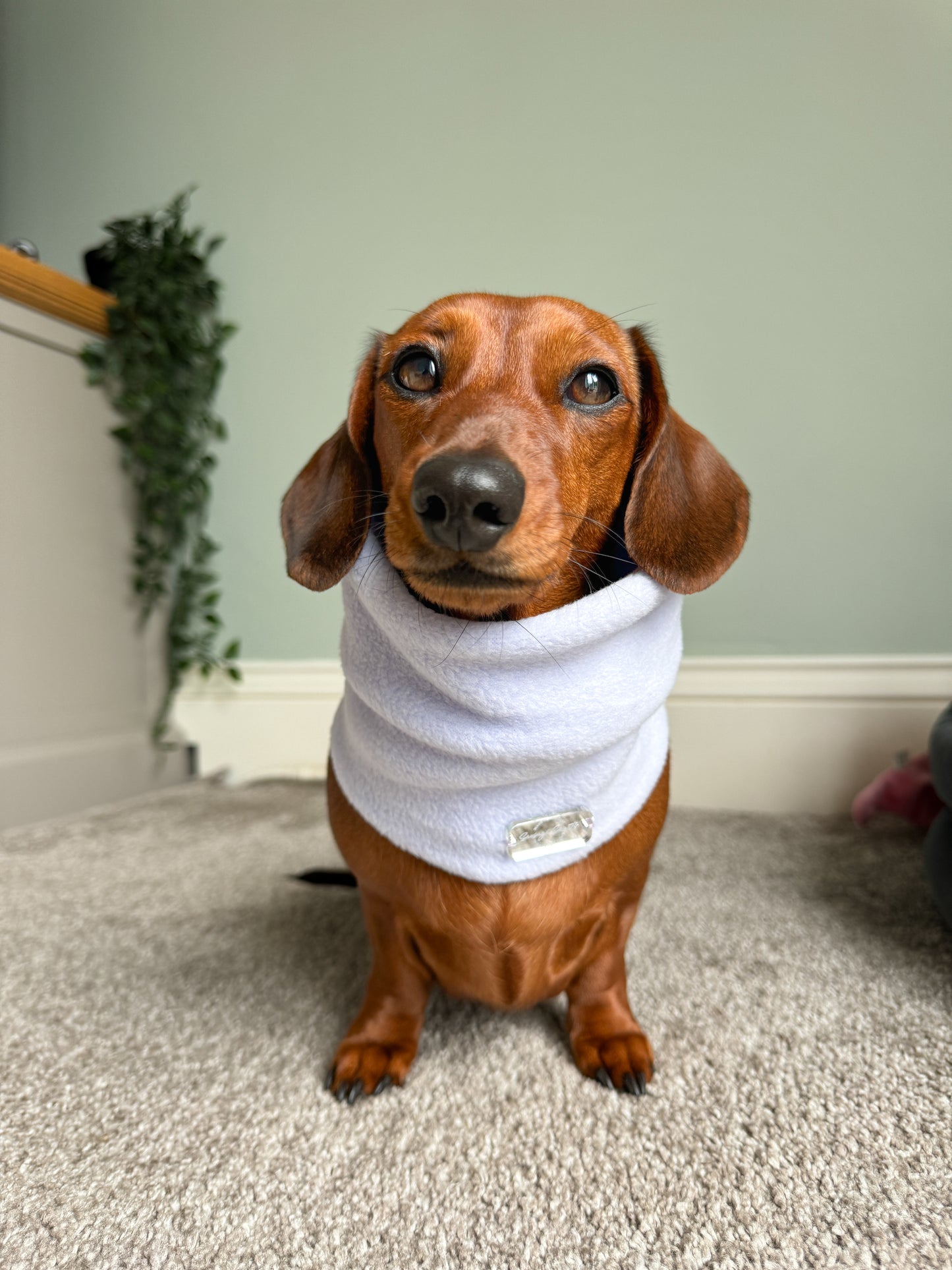 Bluebell Fleece Snood