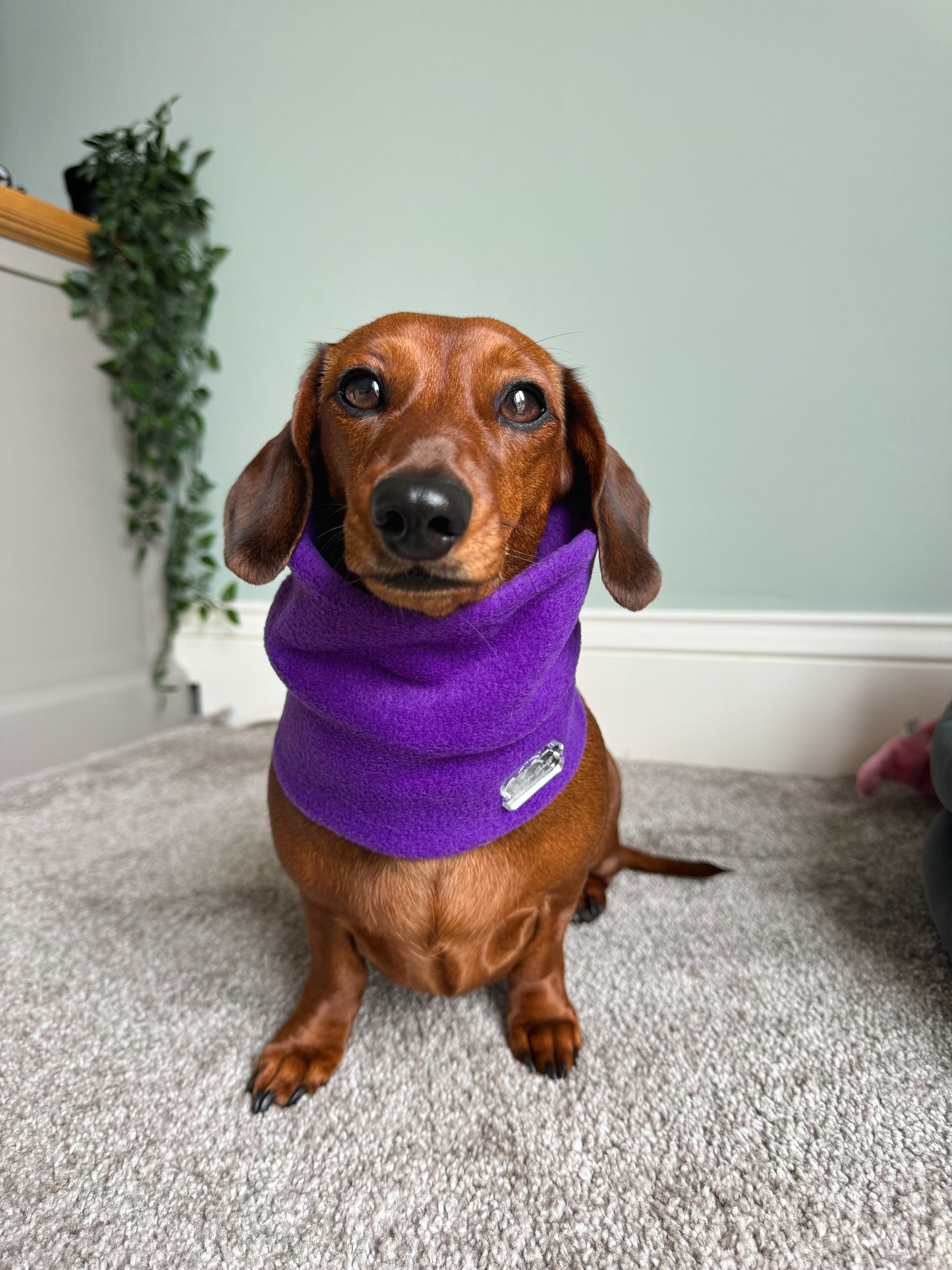 Purple Fleece Snood