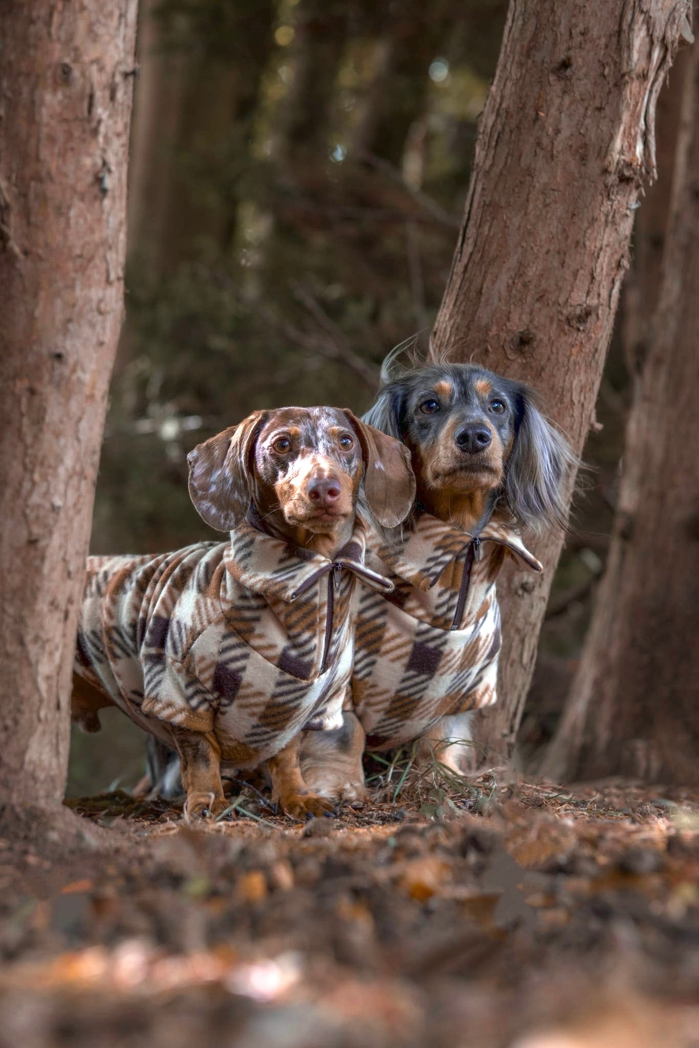 Brown Plaid Quarter Zip Fleece Jumper