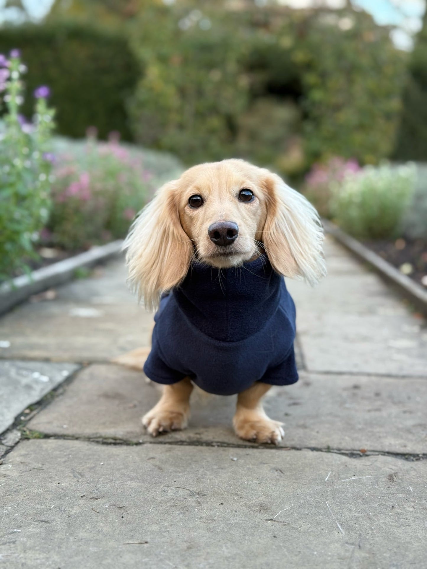 Navy Fleece Jumper