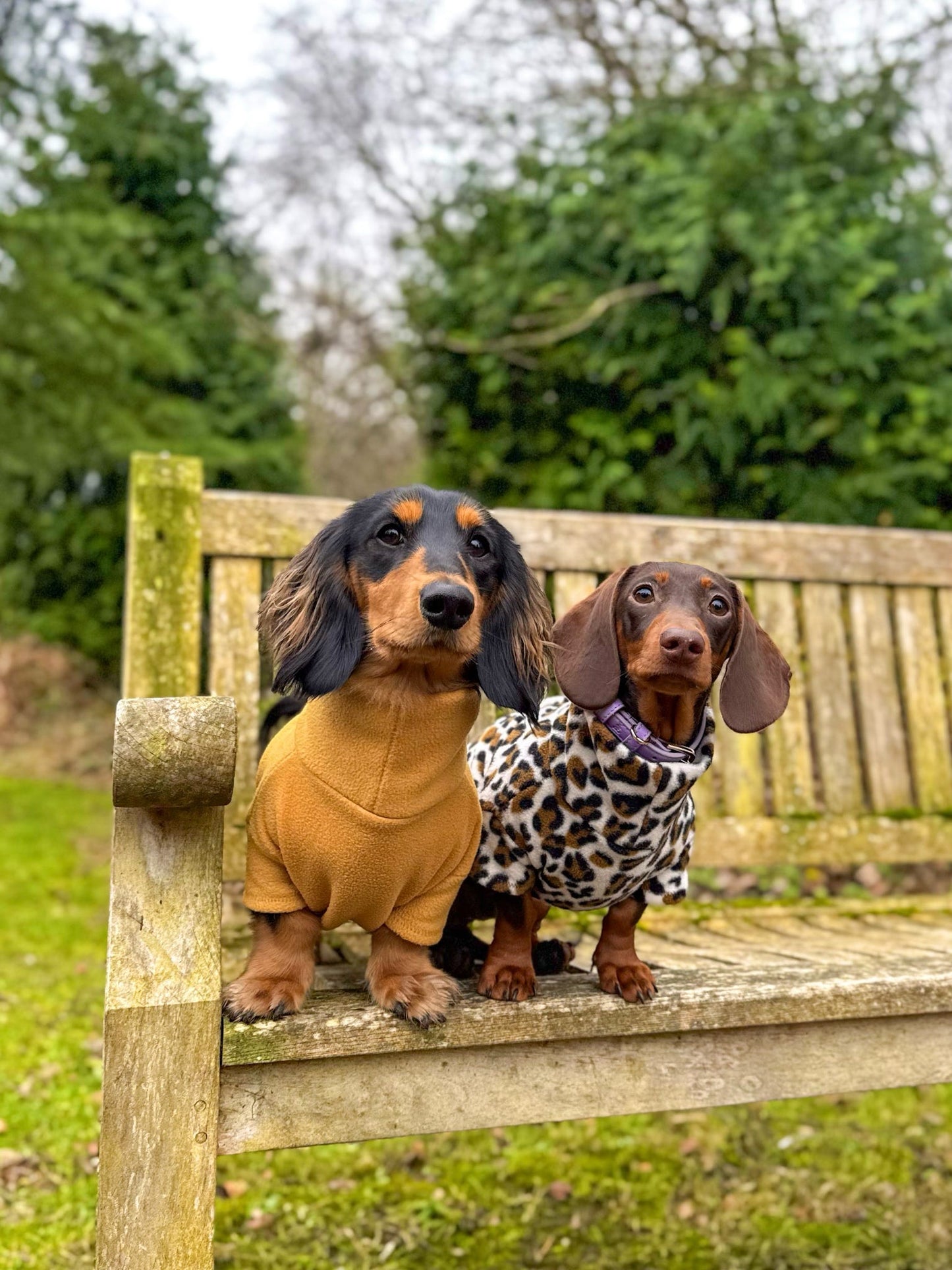 Snow Leopard Fleece Jumper