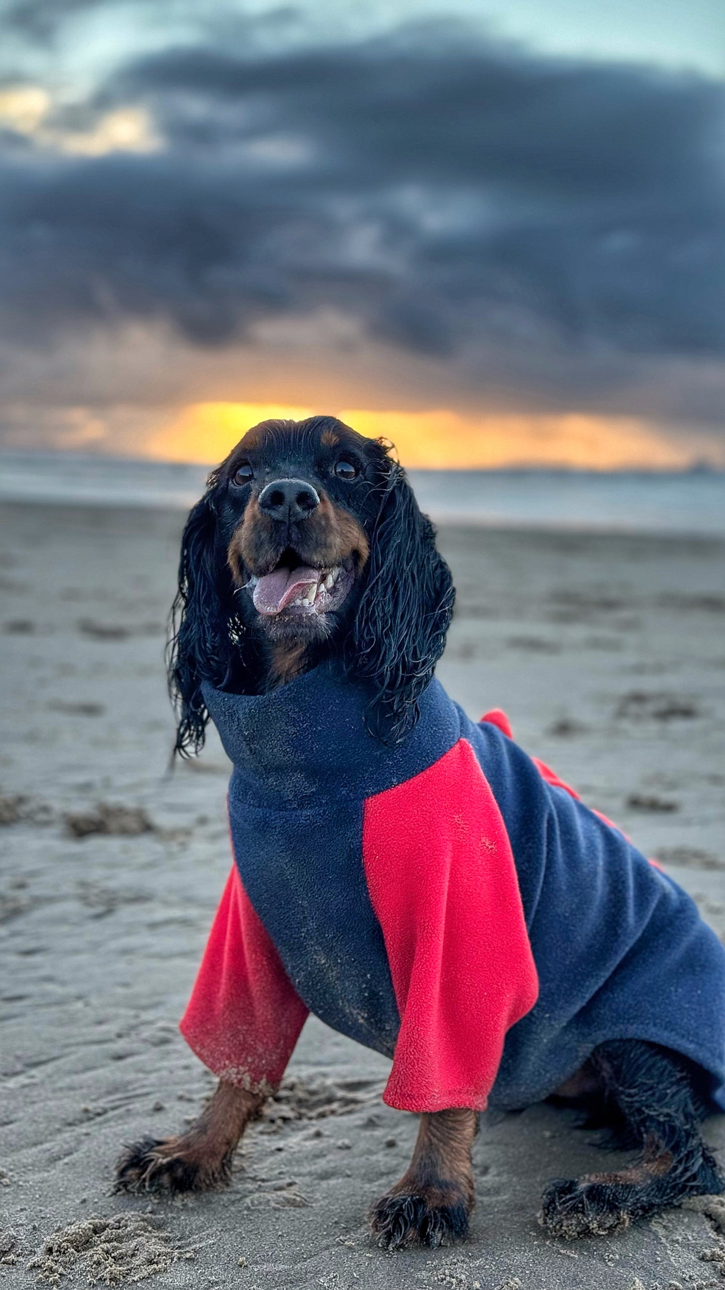 Jurassic Bark Fleece Jumper