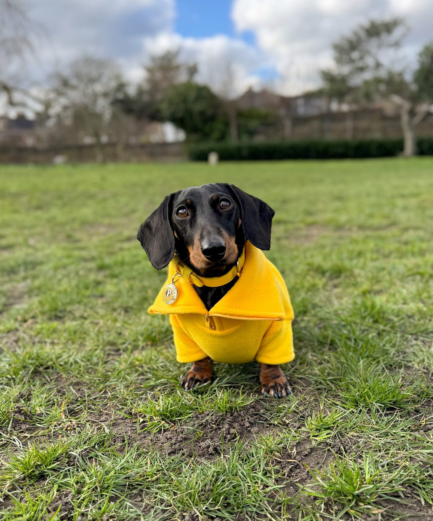 Canary Yellow Quarter Zip Fleece Jumper