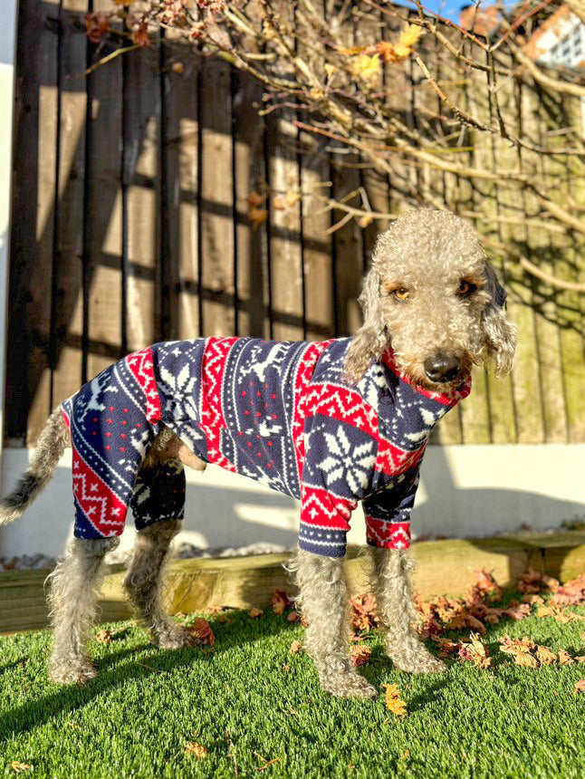 Christmas 4 Leg Fleece Jumper