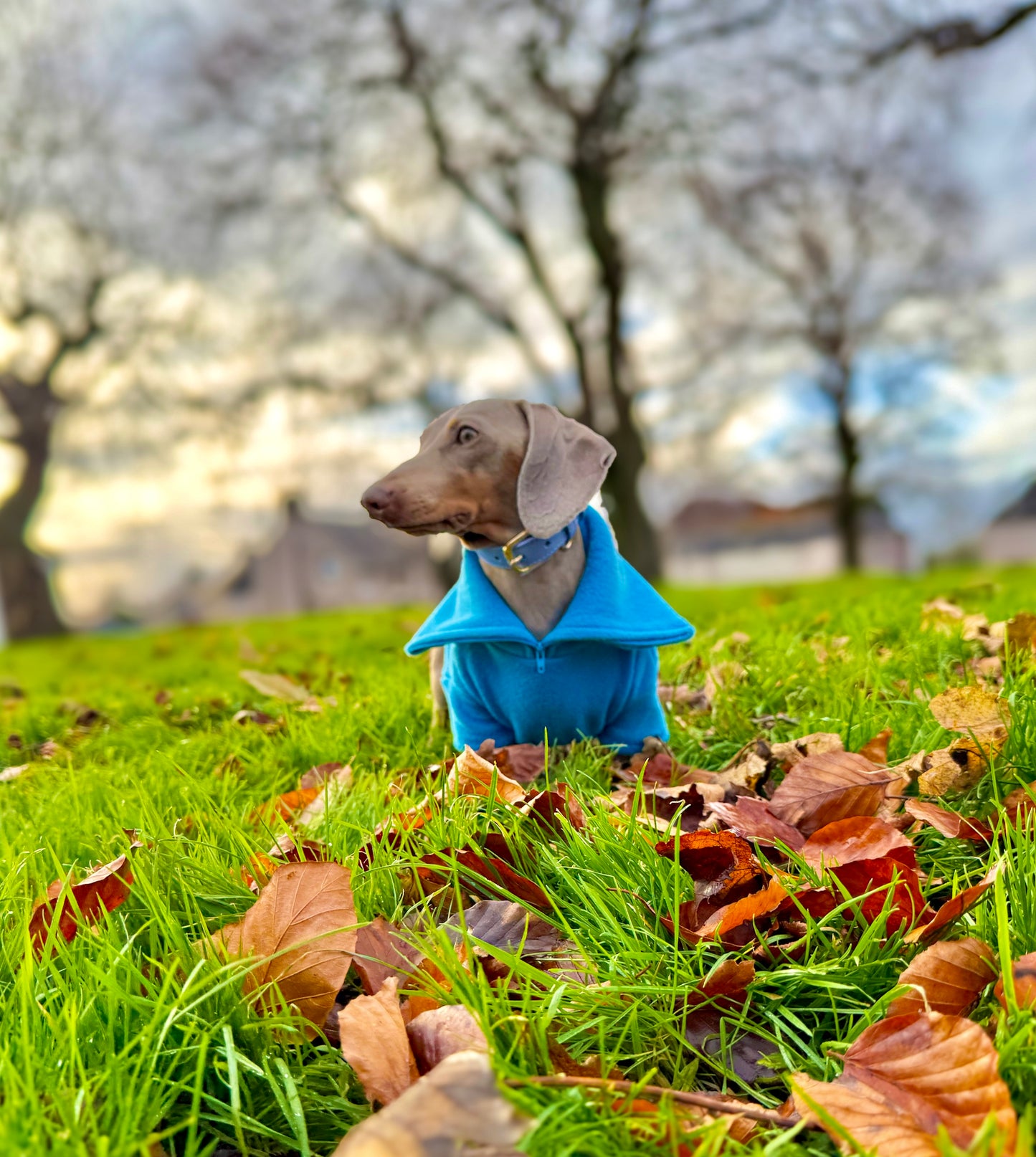 Turquoise Quarter Zip Fleece Jumper