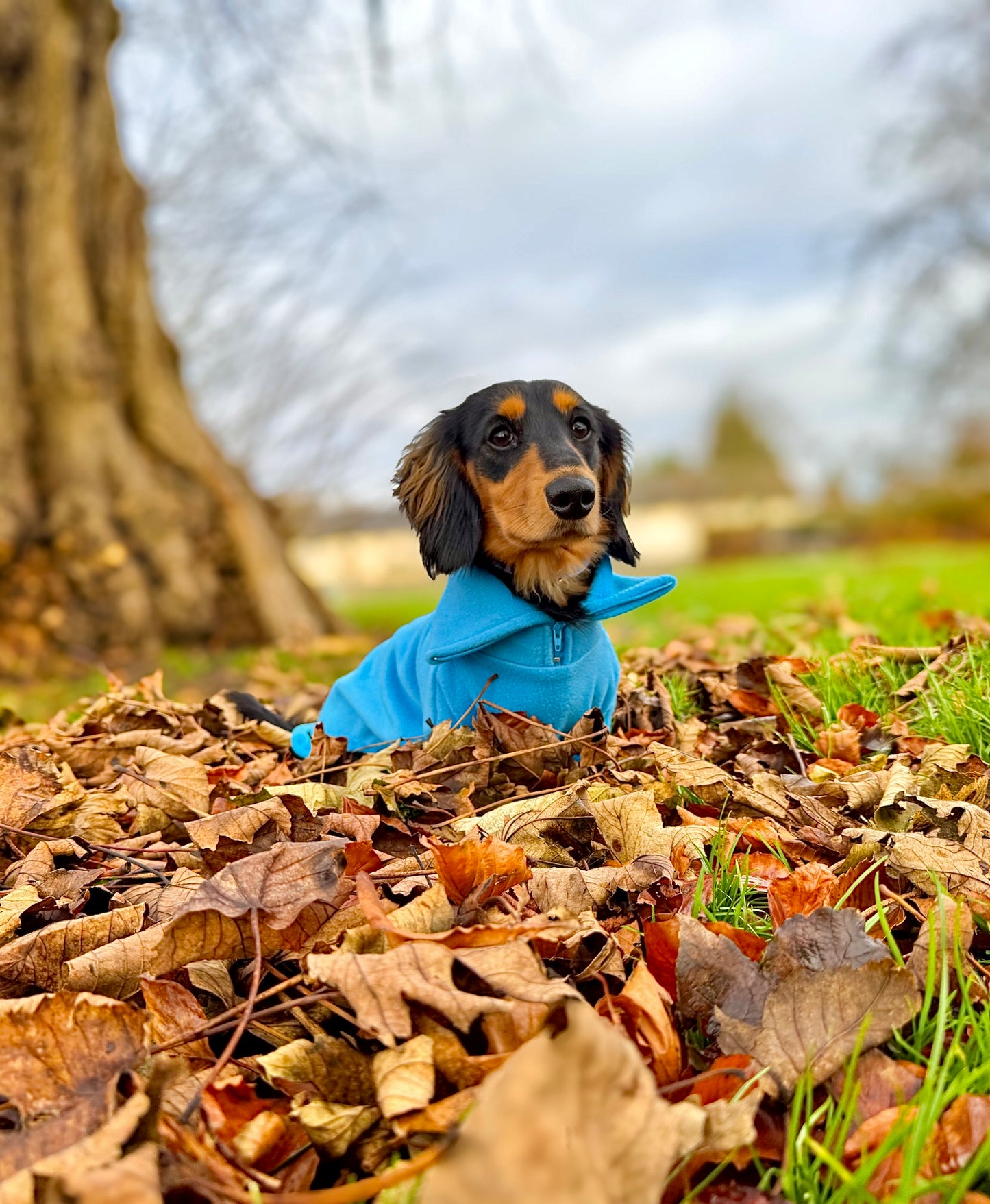 Turquoise Quarter Zip Fleece Jumper