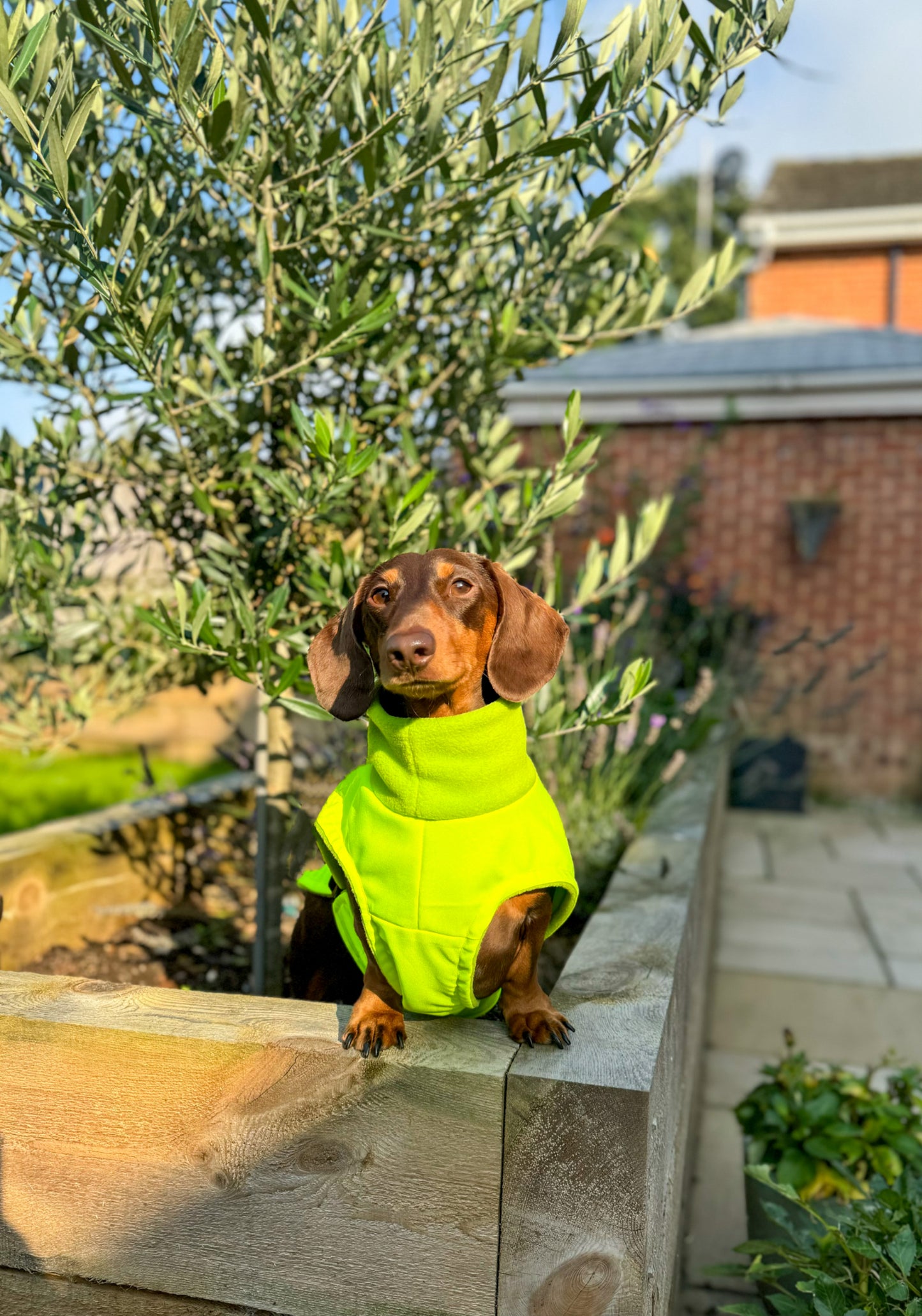 Floresant Yellow Full Tummy Waterproof Jacket with Fleece Lining