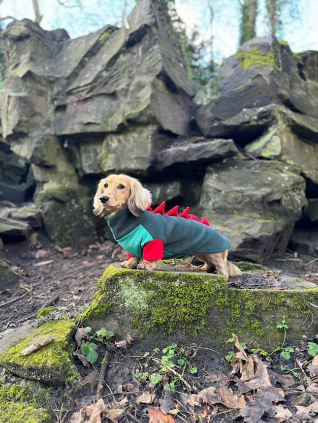 Jurassic Bark Fleece Jumper
