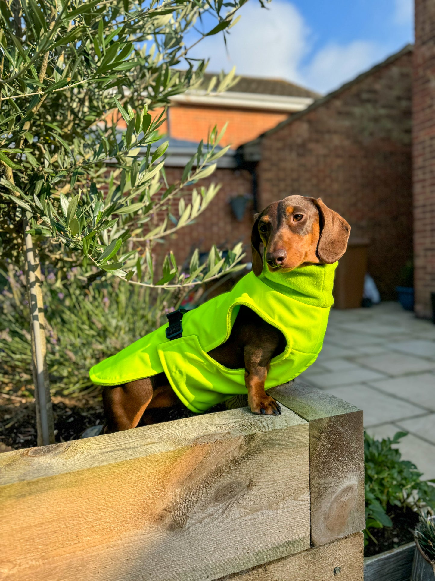 Floresant Yellow Full Tummy Waterproof Jacket with Fleece Lining