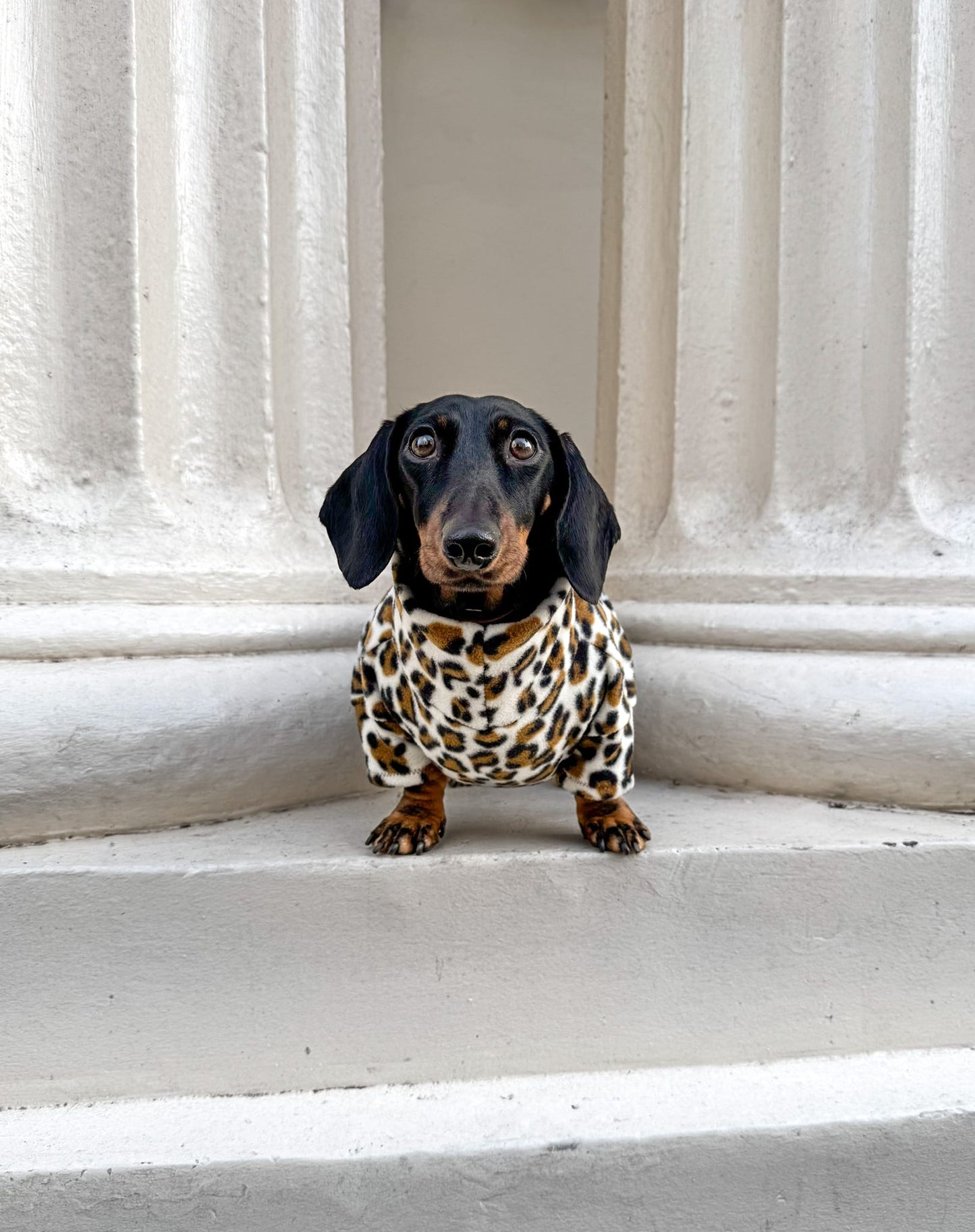Snow Leopard Fleece Jumper