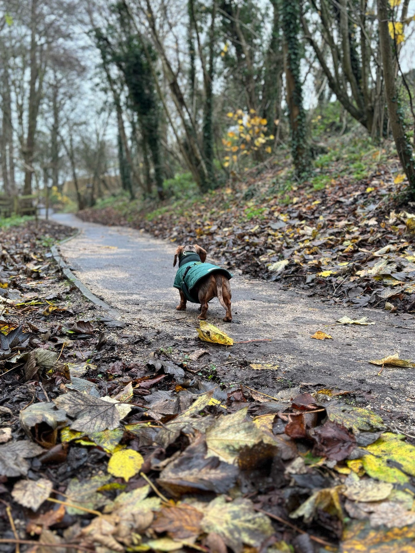 Bottle Green Quilted Full Tummy Coat with Fleece Lining