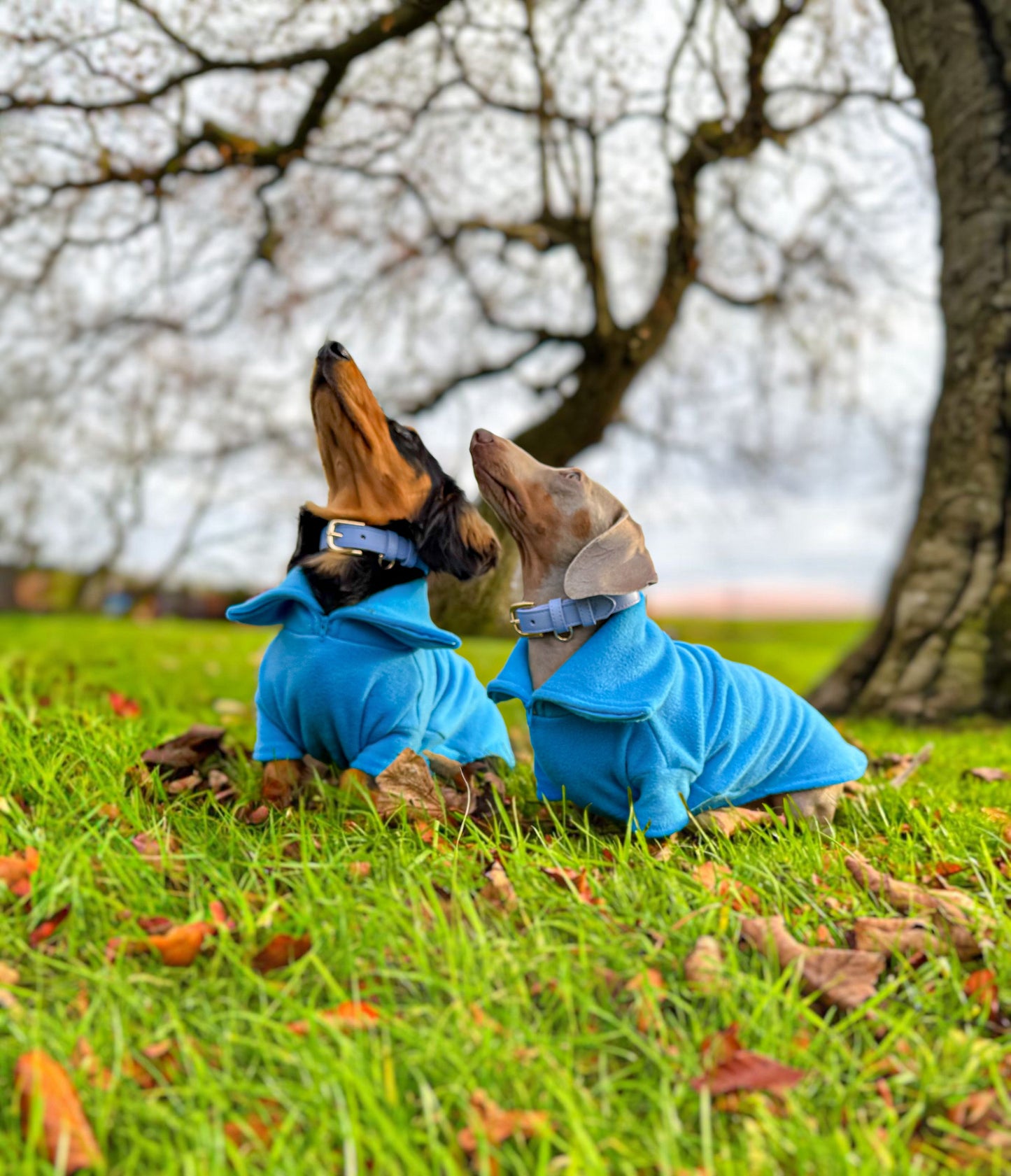 Turquoise Quarter Zip Fleece Jumper