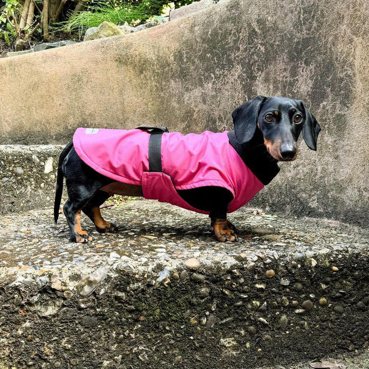Berry Full Tummy Waterproof Jacket with Fleece Lining