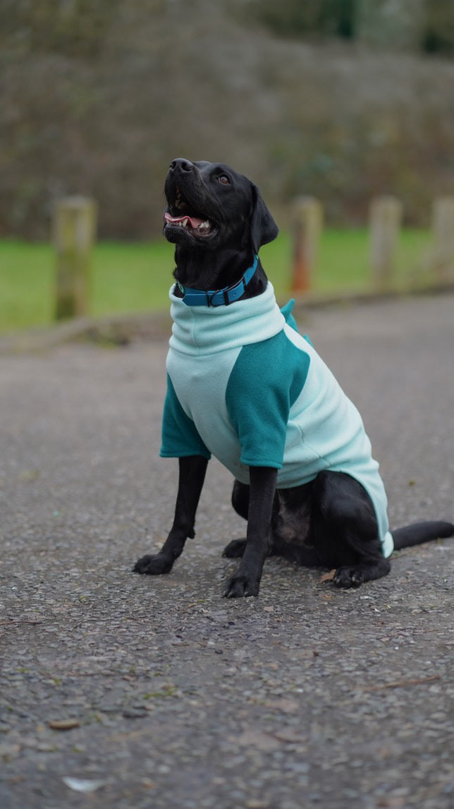 Jurassic Bark Fleece Jumper