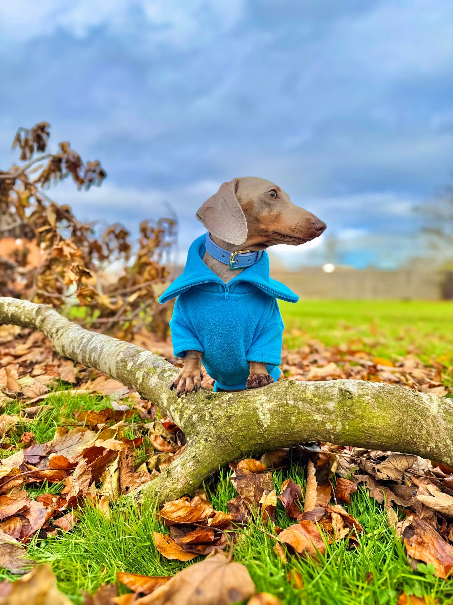 Turquoise Quarter Zip Fleece Jumper