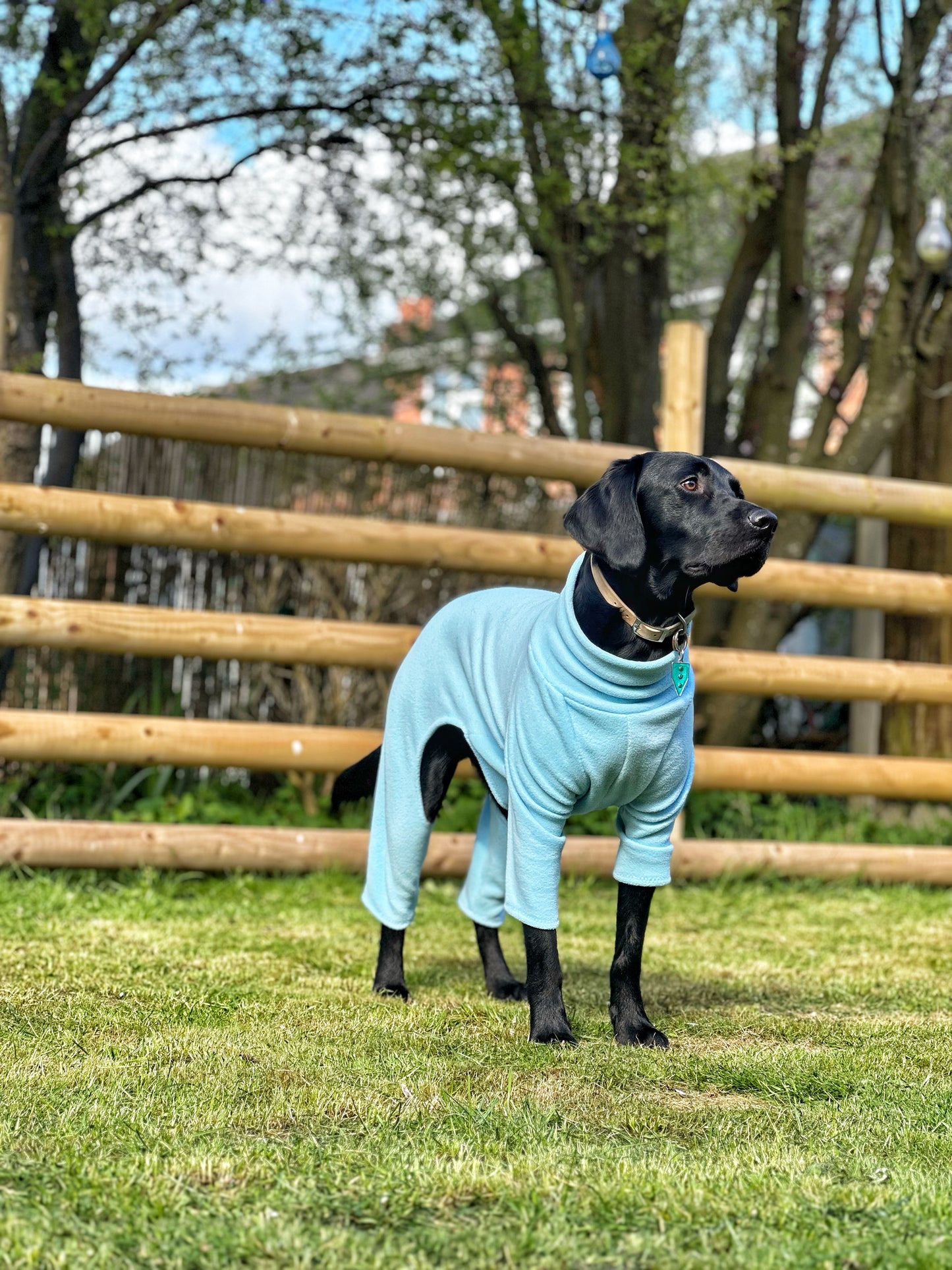 Sky Blue 4 Leg Fleece Jumper