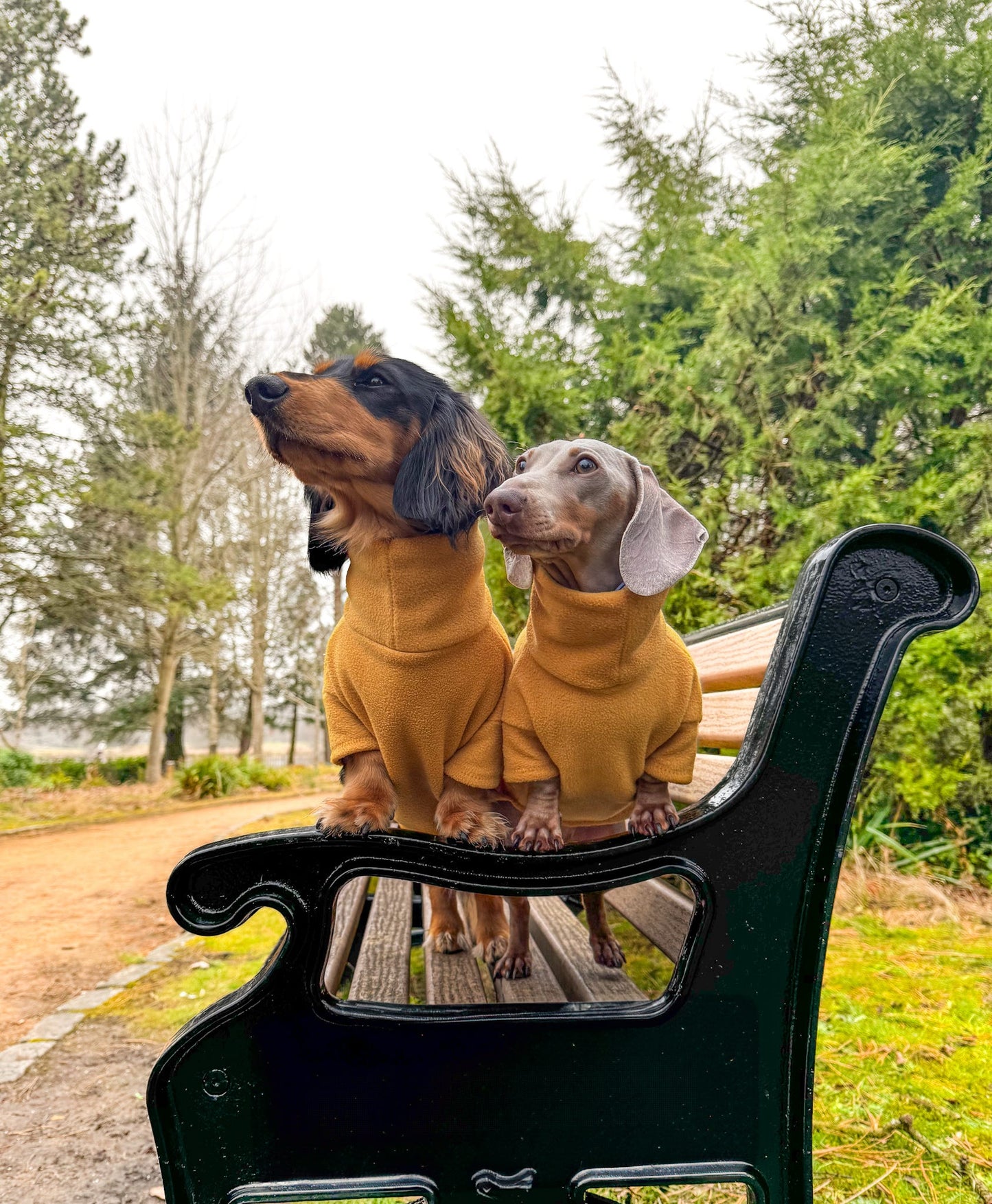 Mustard Fleece Jumper