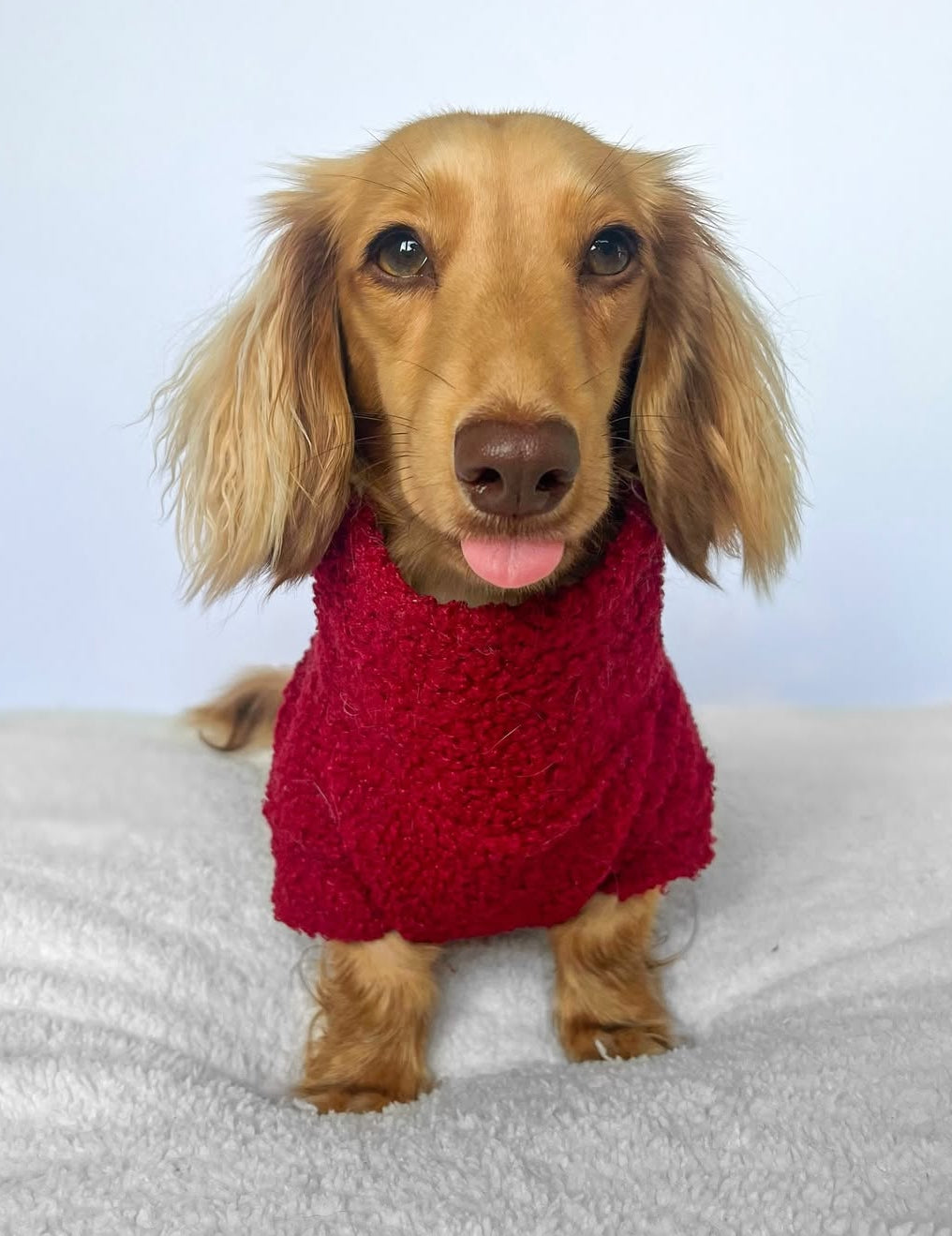 Red Wine Borg Cosy Jumper