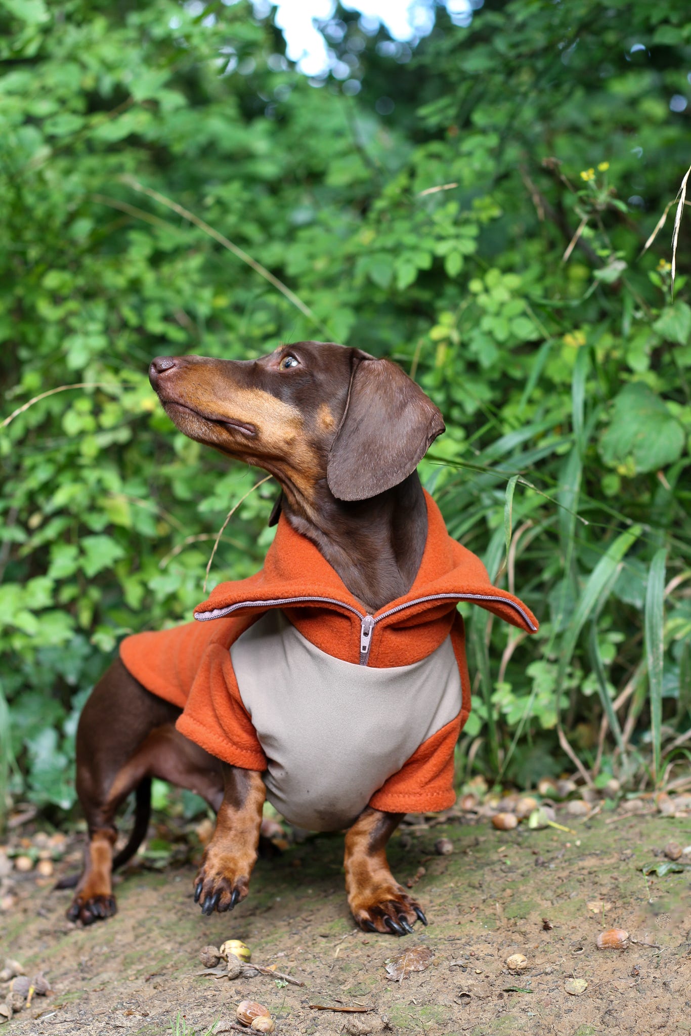 Rust Quarter Zip Fleece Jumper