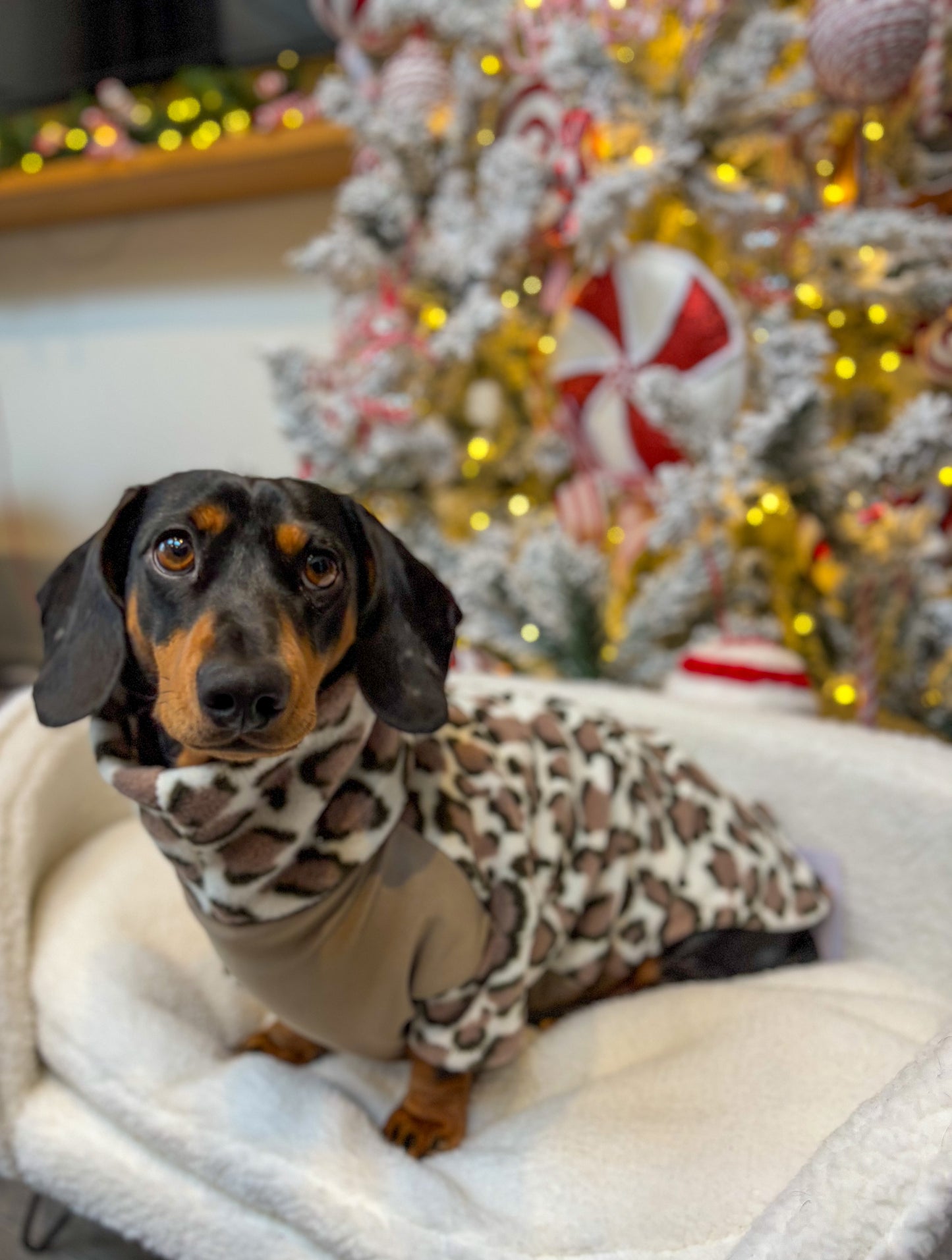 Snow Leopard Fleece Jumper