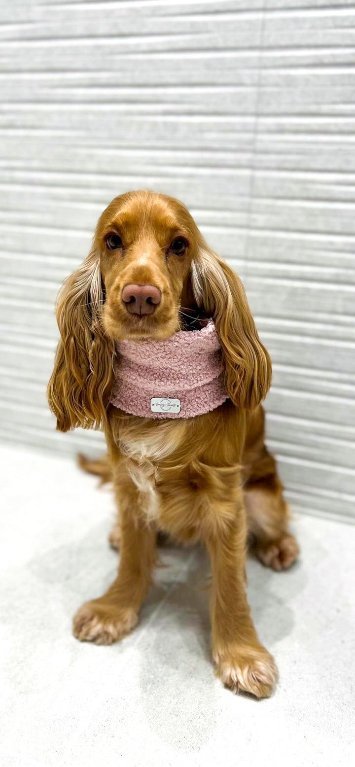 Blush Pink Borg Snood