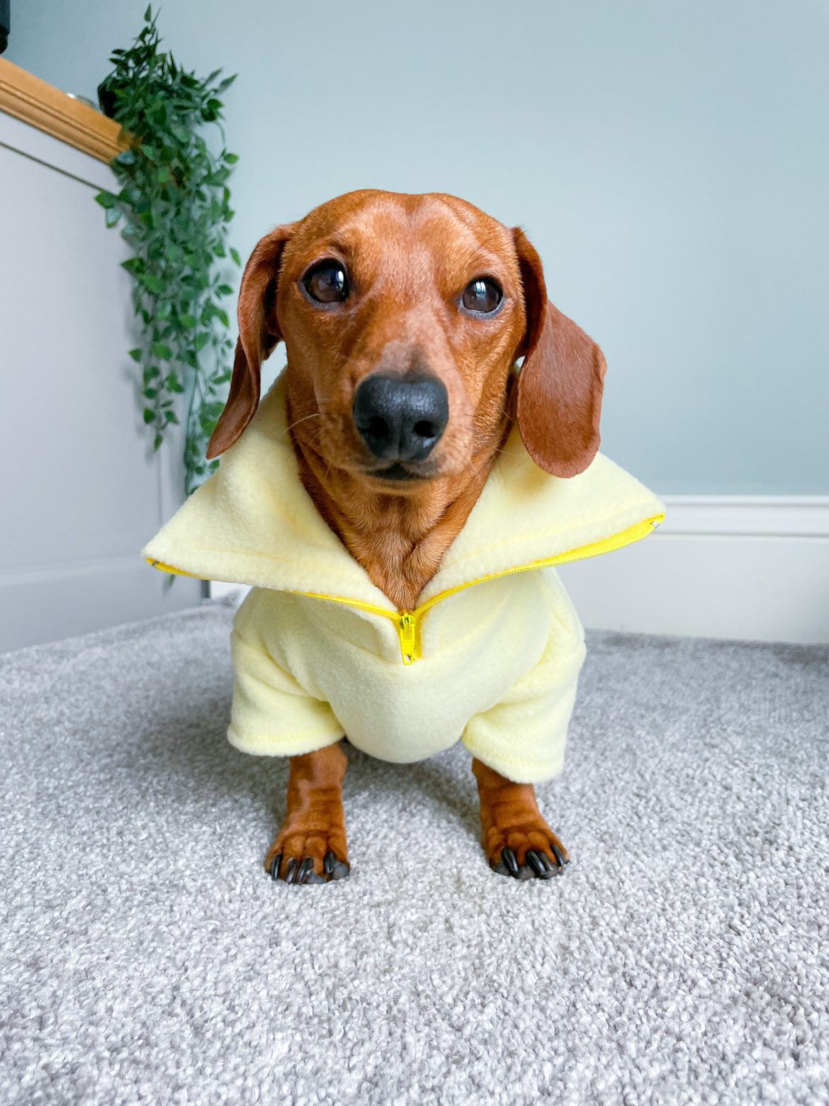 Lemon Quarter Zip Fleece Jumper