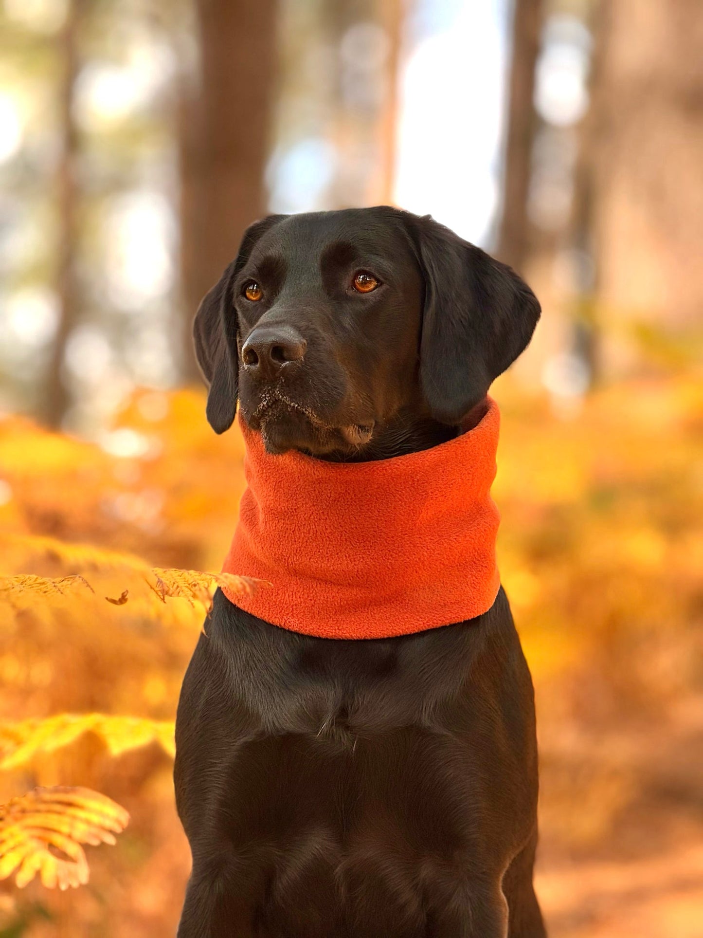 Rust Fleece Snood