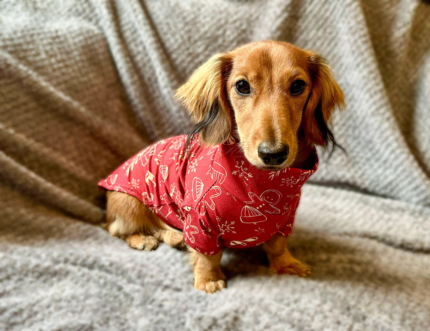 Christmas Gingerbread Man Cotton Jersey Jammies