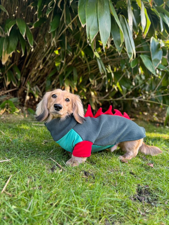 Jurassic Bark Fleece Jumper