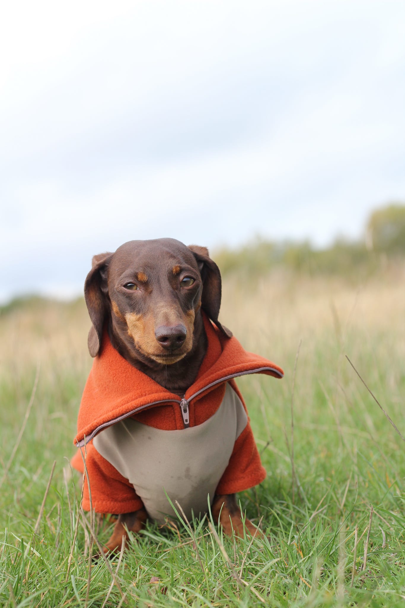 Rust Quarter Zip Fleece Jumper