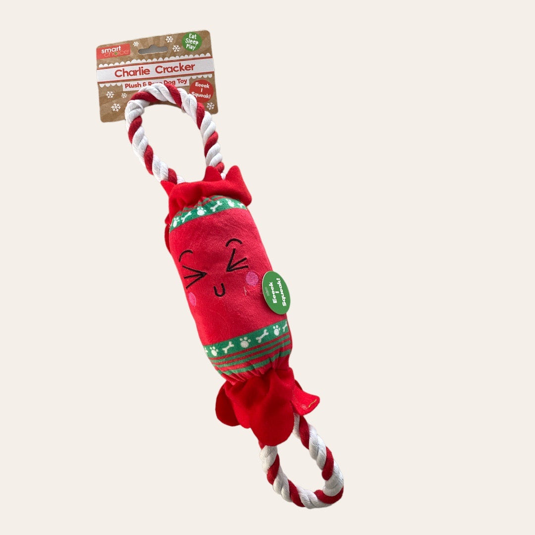 Christmas Cracker Toy