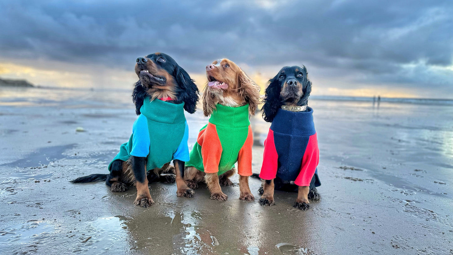 Jurassic Bark Fleece Jumper