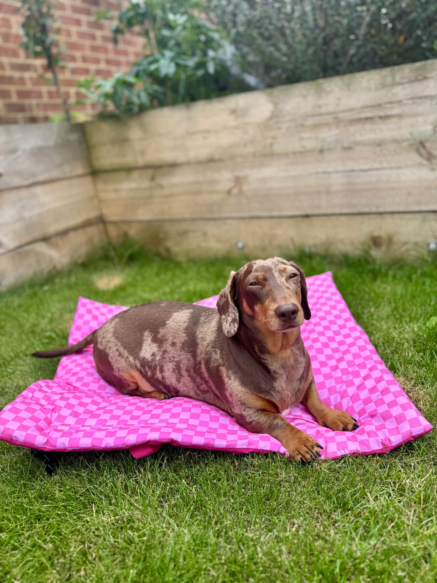 Pink Checkered Pub & Picnic Settle Mat