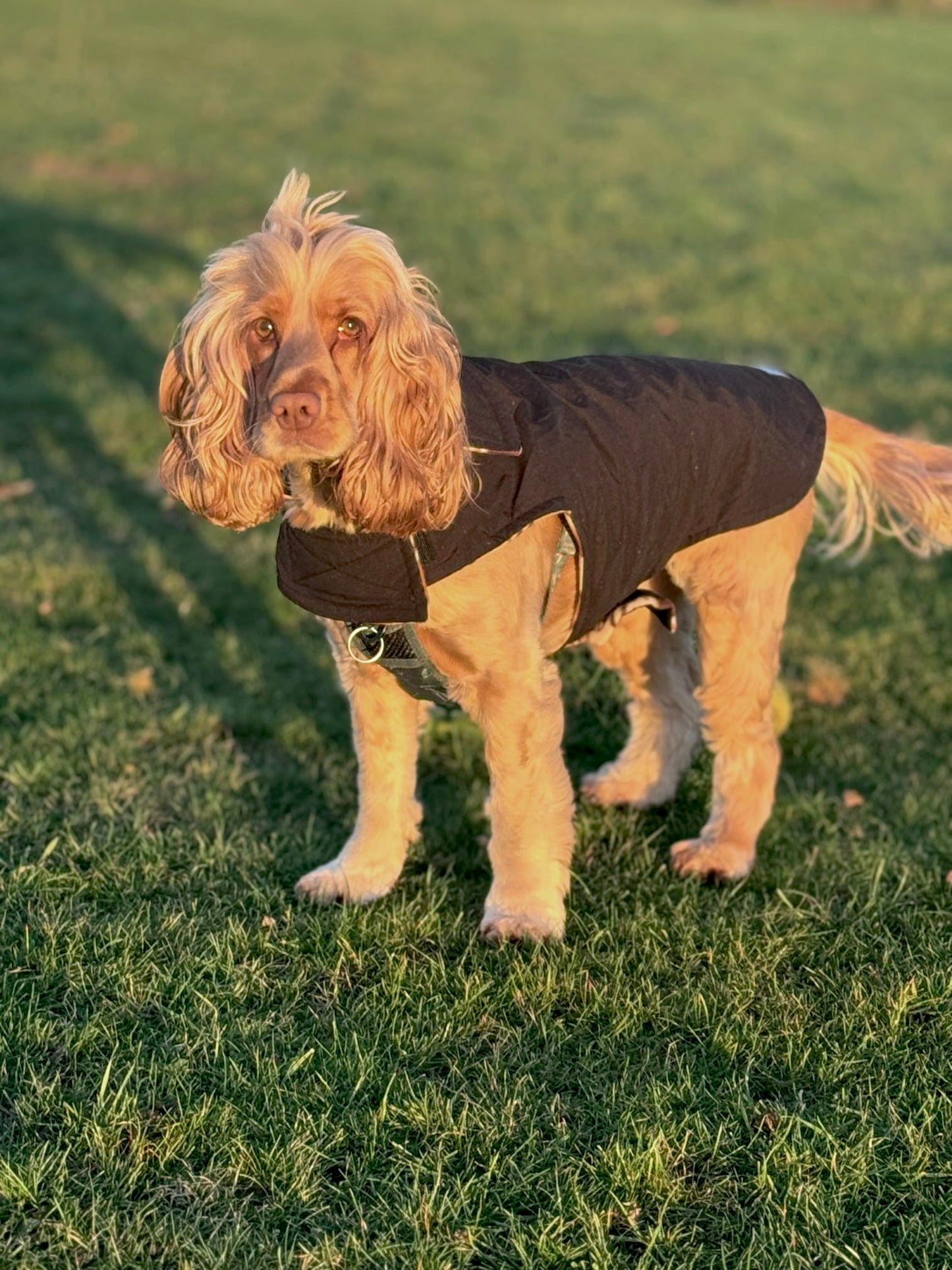 Black Waterproof Jacket with Fleece Lining