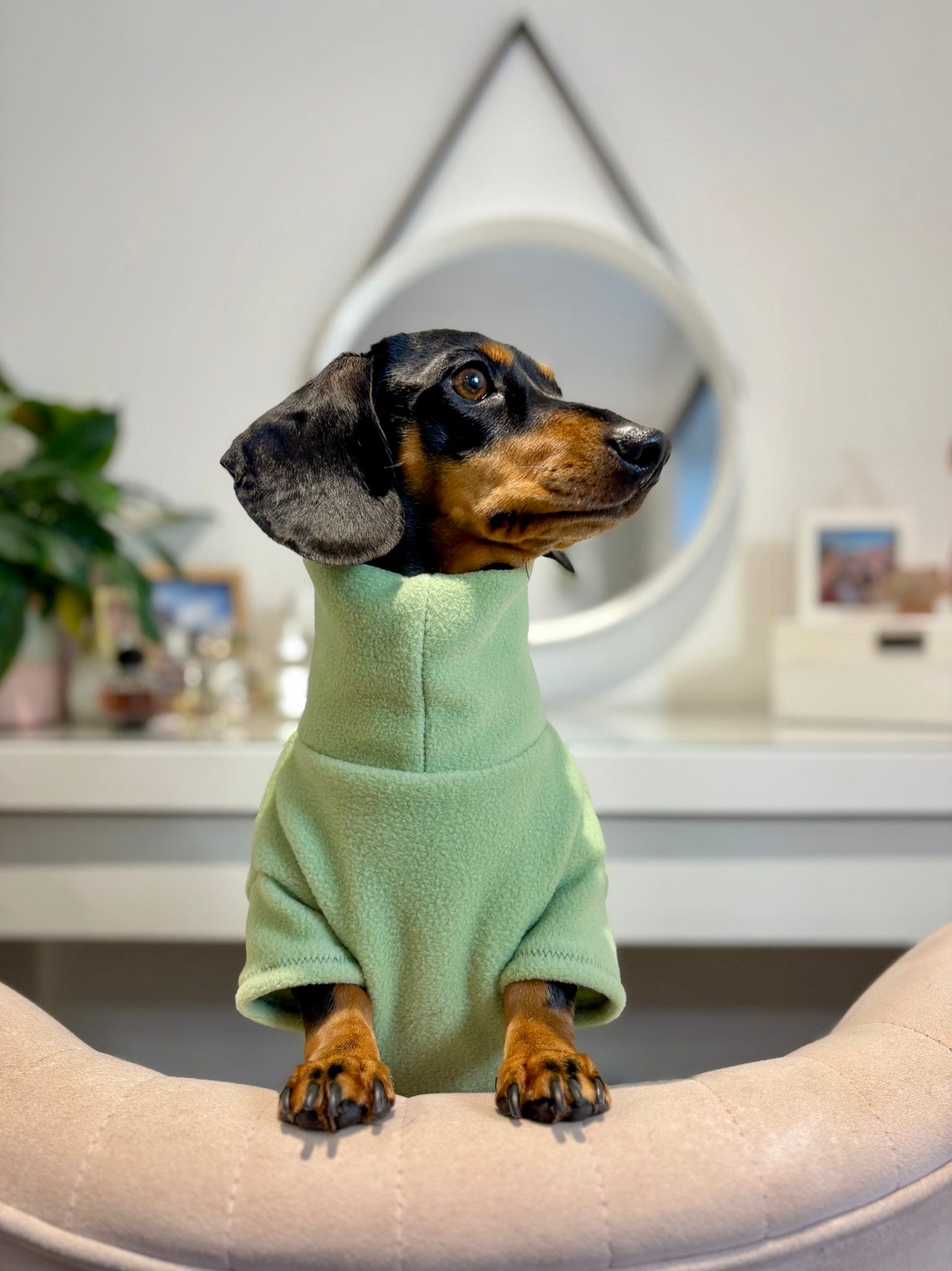 Pistachio Fleece Jumper
