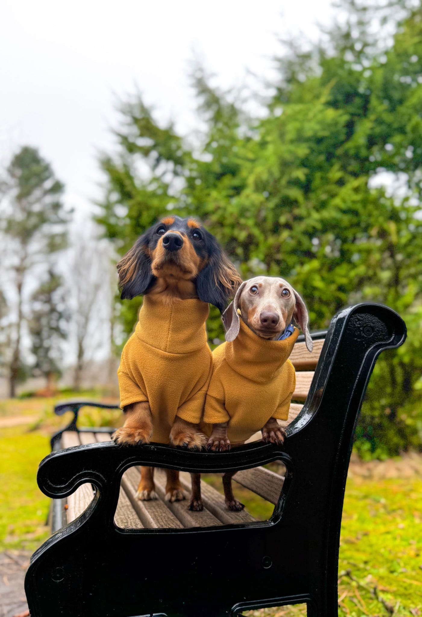 Mustard Fleece Jumper