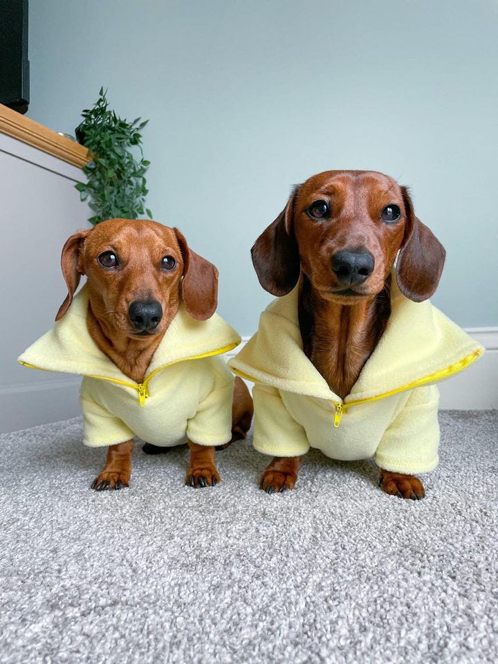 Lemon Quarter Zip Fleece Jumper