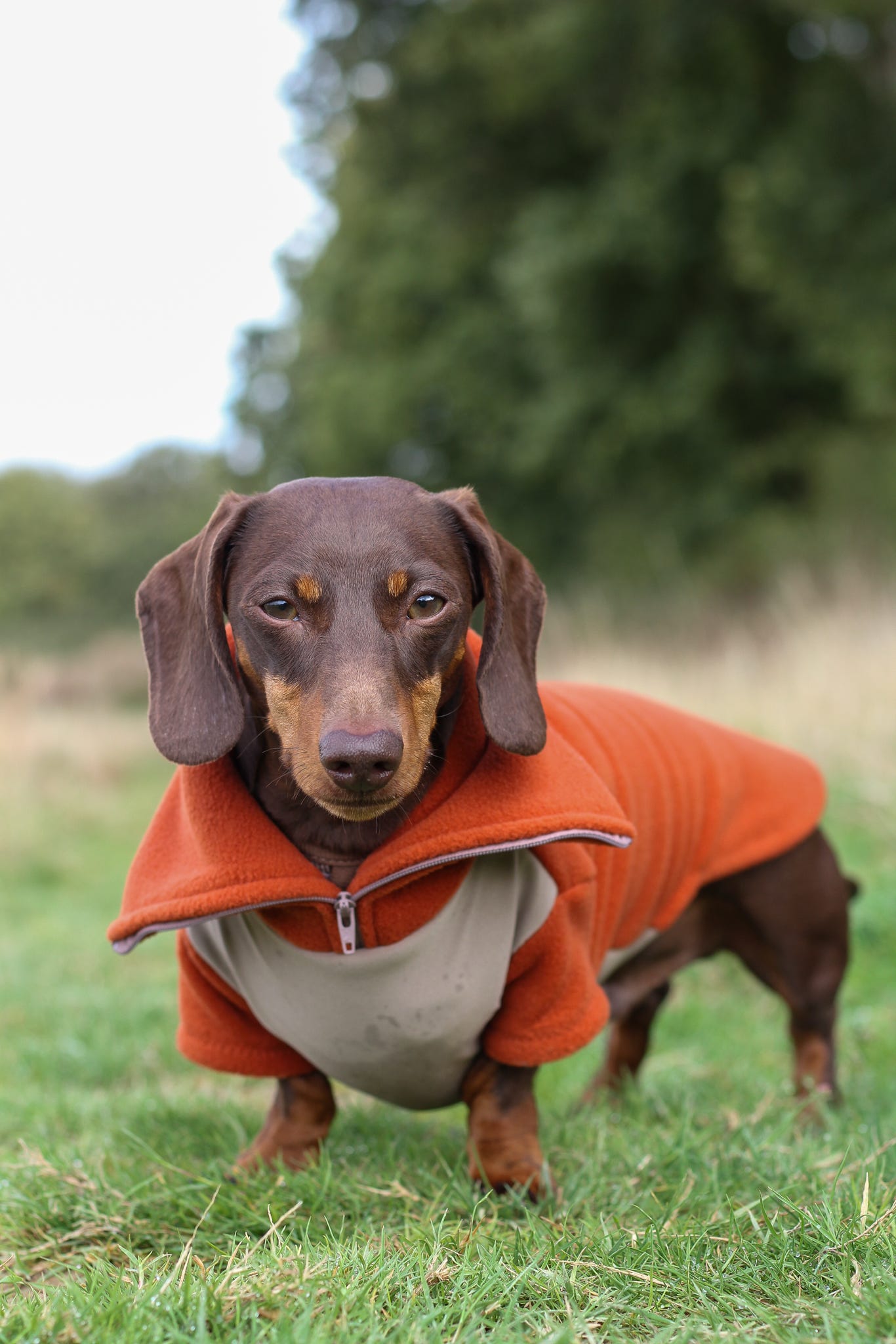 Rust Quarter Zip Fleece Jumper