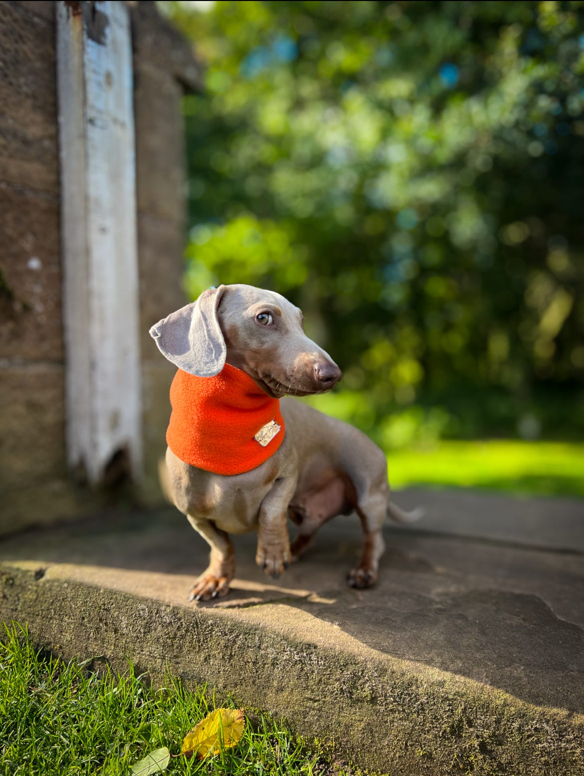 Orange Fleece Snood