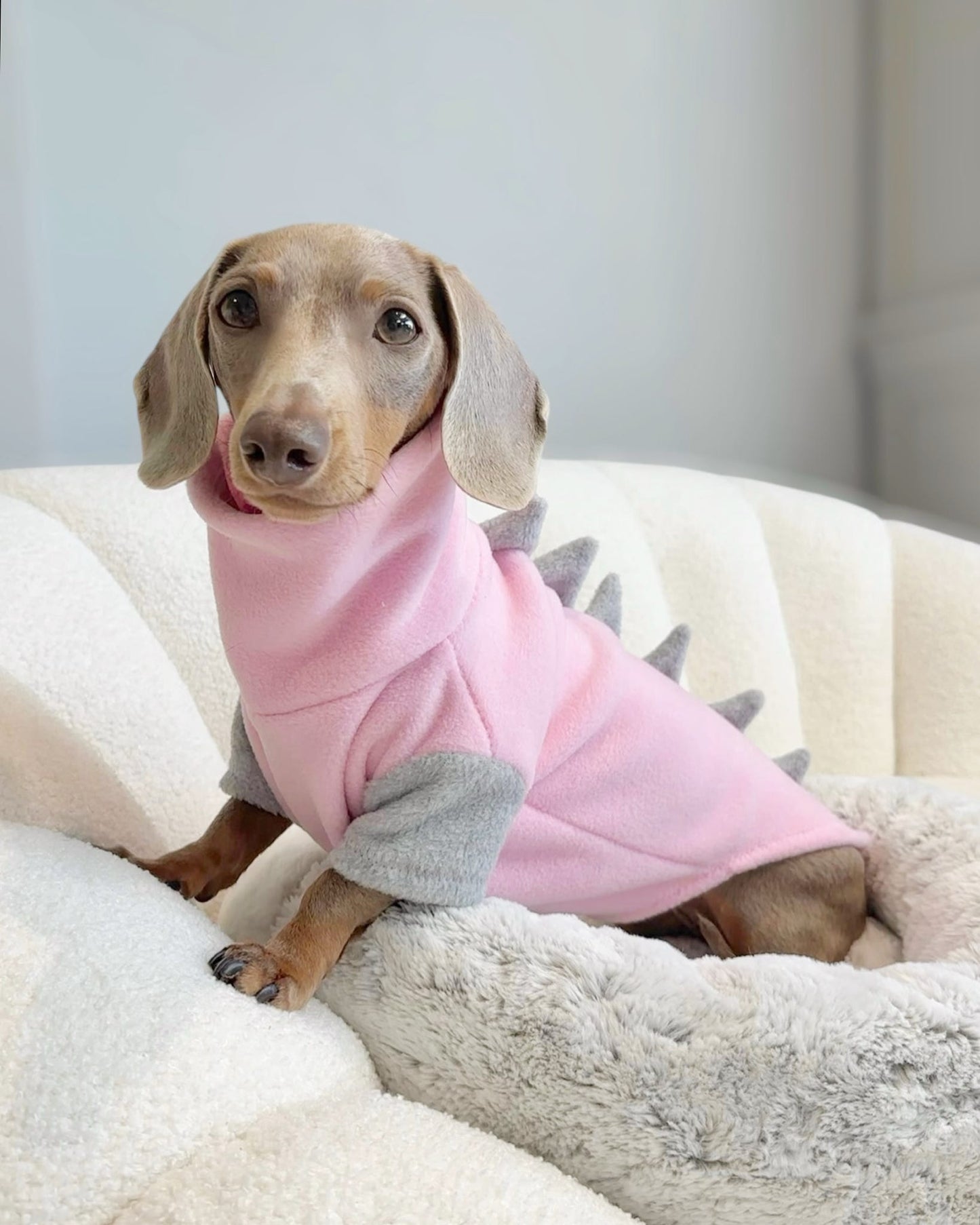 Jurassic Bark Fleece Jumper