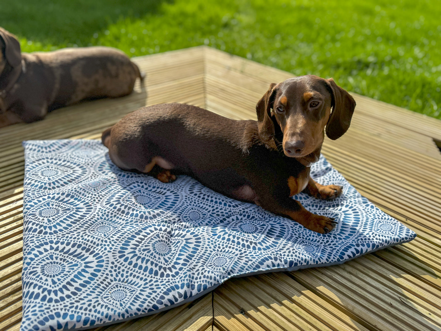 Maya Meander Pub & Picnic Mat