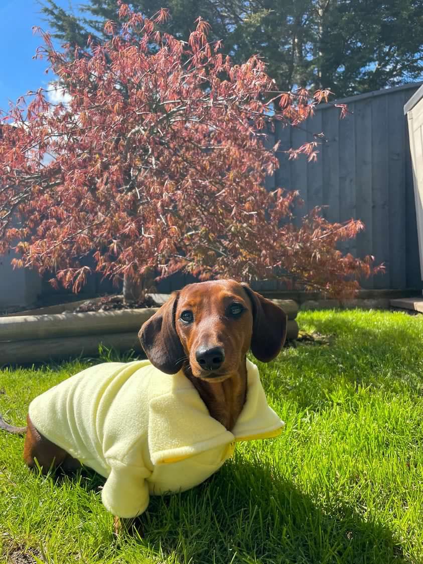 Lemon Quarter Zip Fleece Jumper