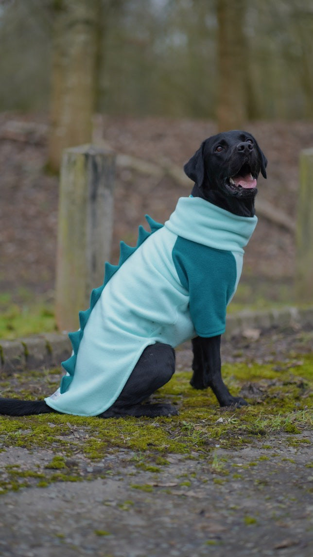 Jurassic Bark Fleece Jumper