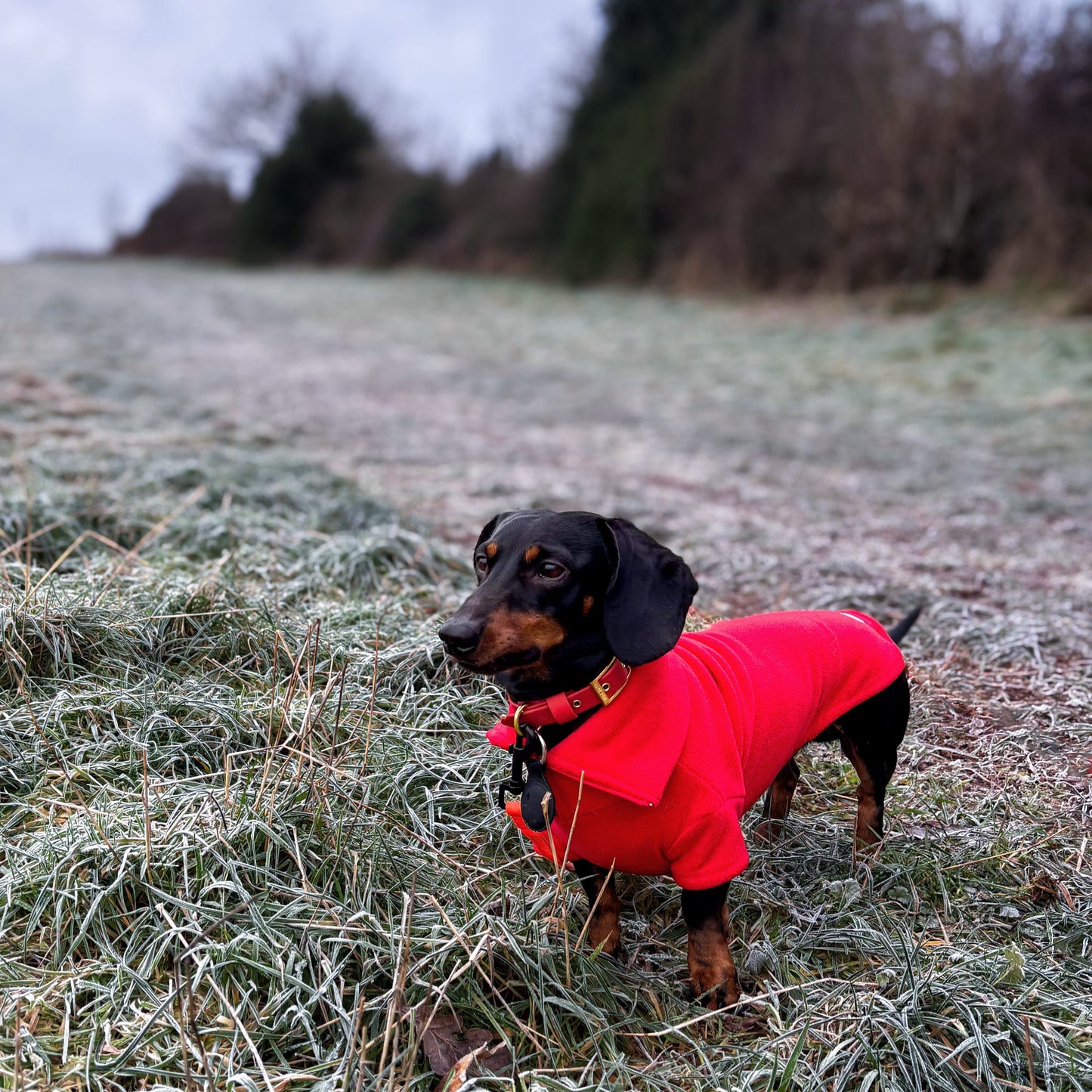 Red Quarter Zip Fleece Jumper
