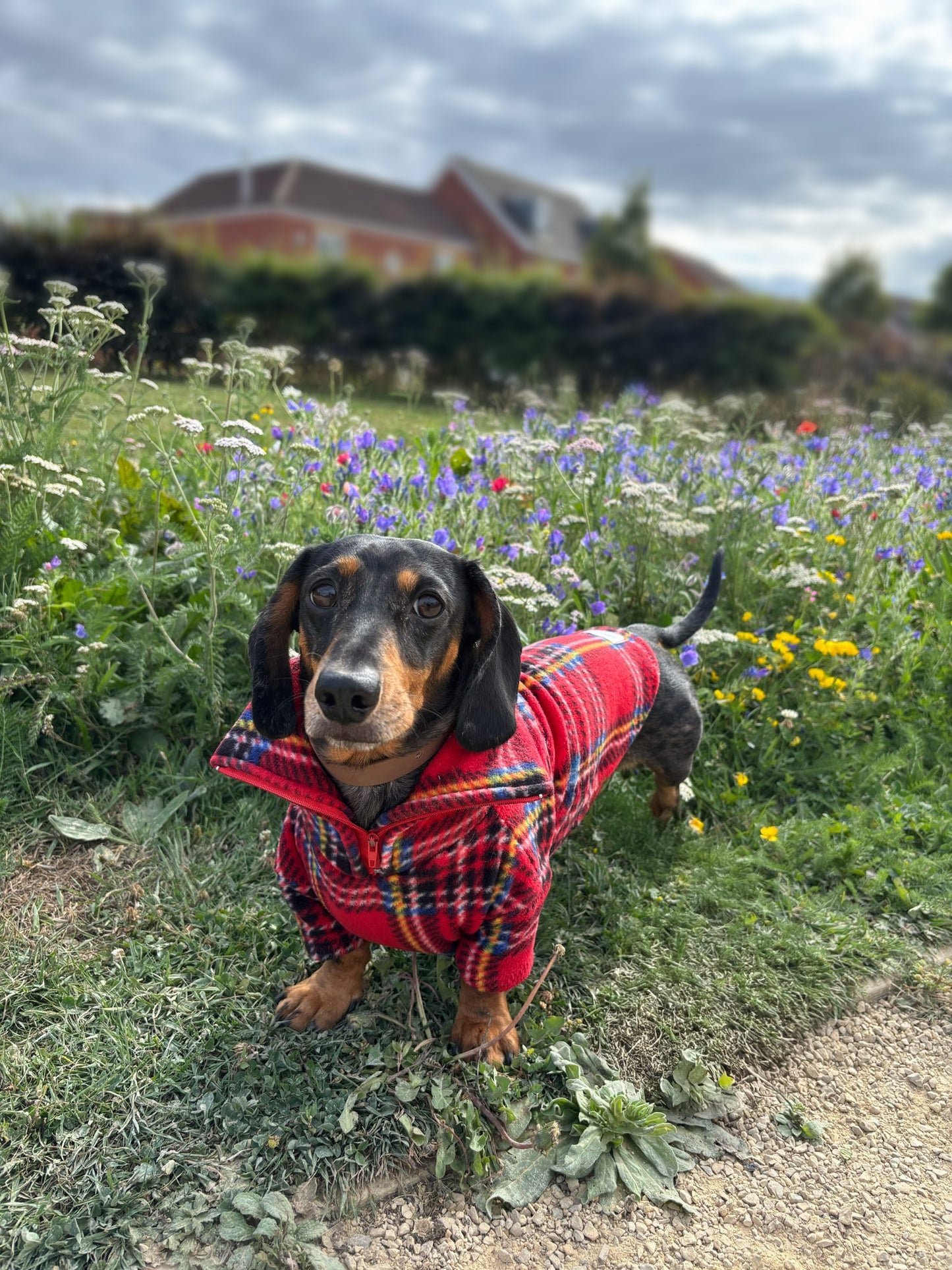 Red Tartan Quarter Zip Fleece Jumper