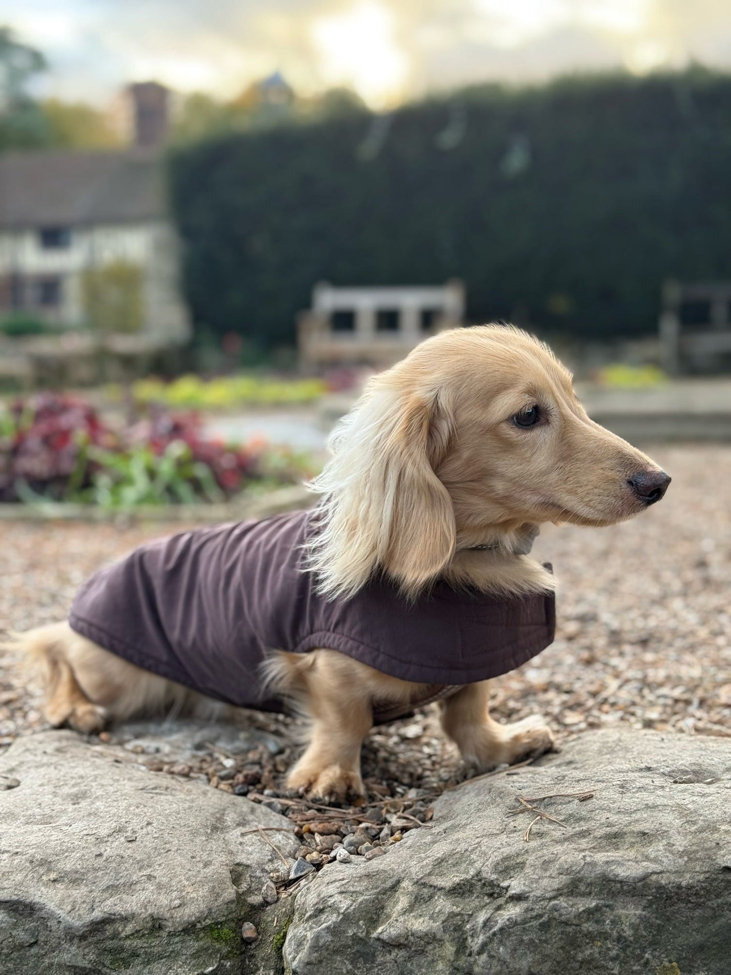 Chocolate Waterproof Jacket with Fleece Lining