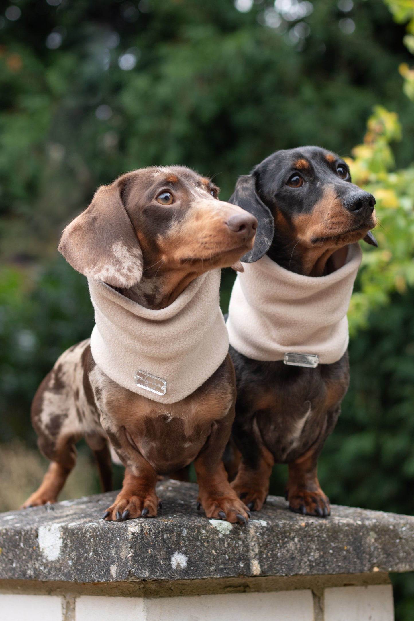 Beige Fleece Snood